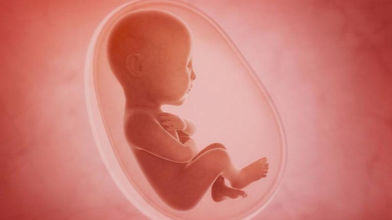 Bilim İnsanlarına Göre Çocuklar, Zekalarını Anneden Alıyor