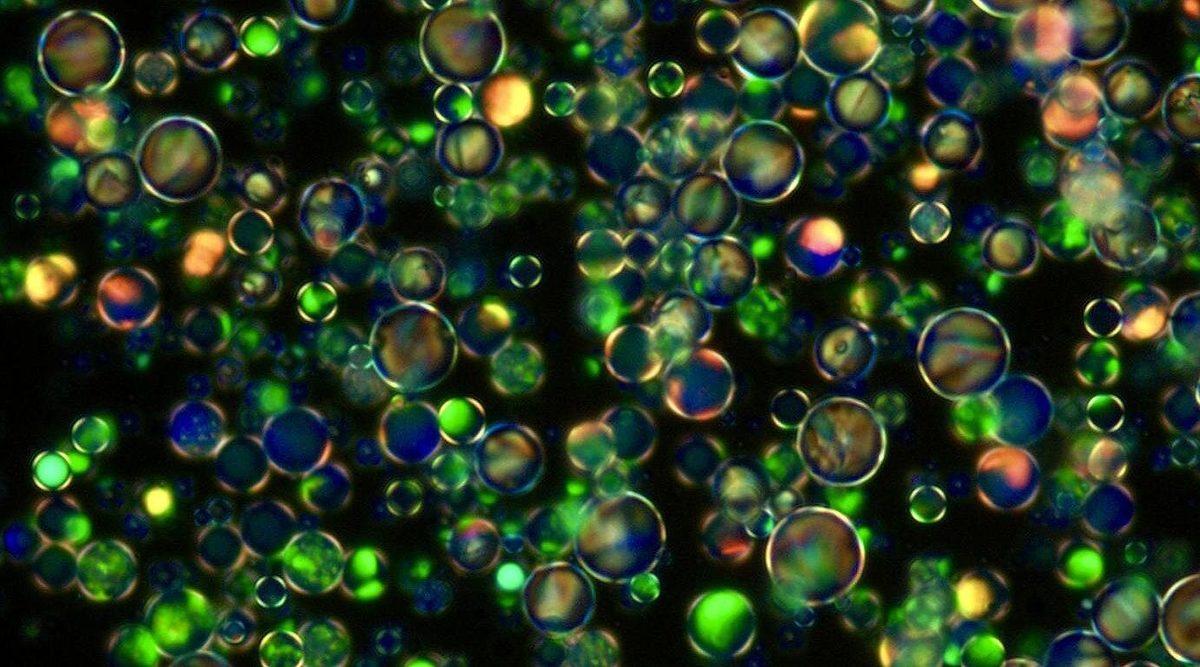 Yeni Nesil Cihazlarda Görüntü Kalitesini Artıracak ‘Kristal İçinde Kristal’ Üretildi