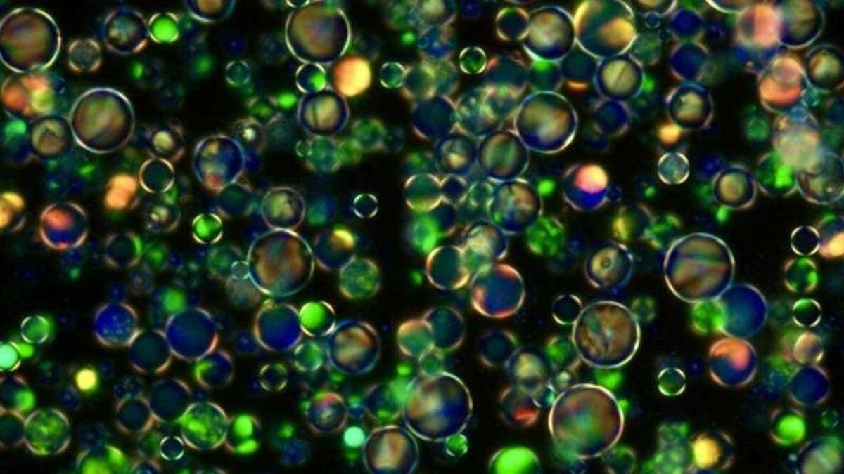 Yeni Nesil Cihazlarda Görüntü Kalitesini Artıracak ‘Kristal İçinde Kristal’ Üretildi