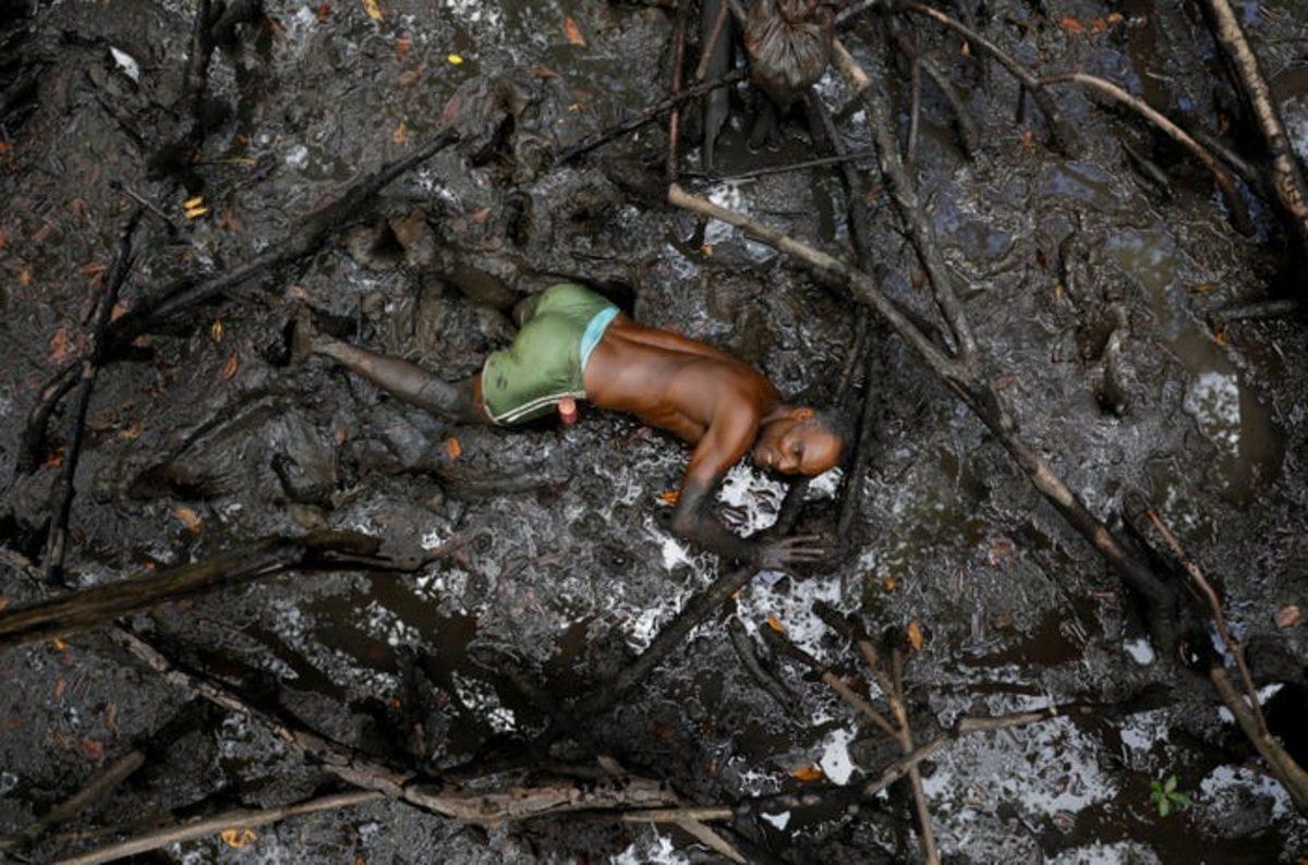 Reuters, 2019’un En İyi Çevre Fotoğraflarını Seçti