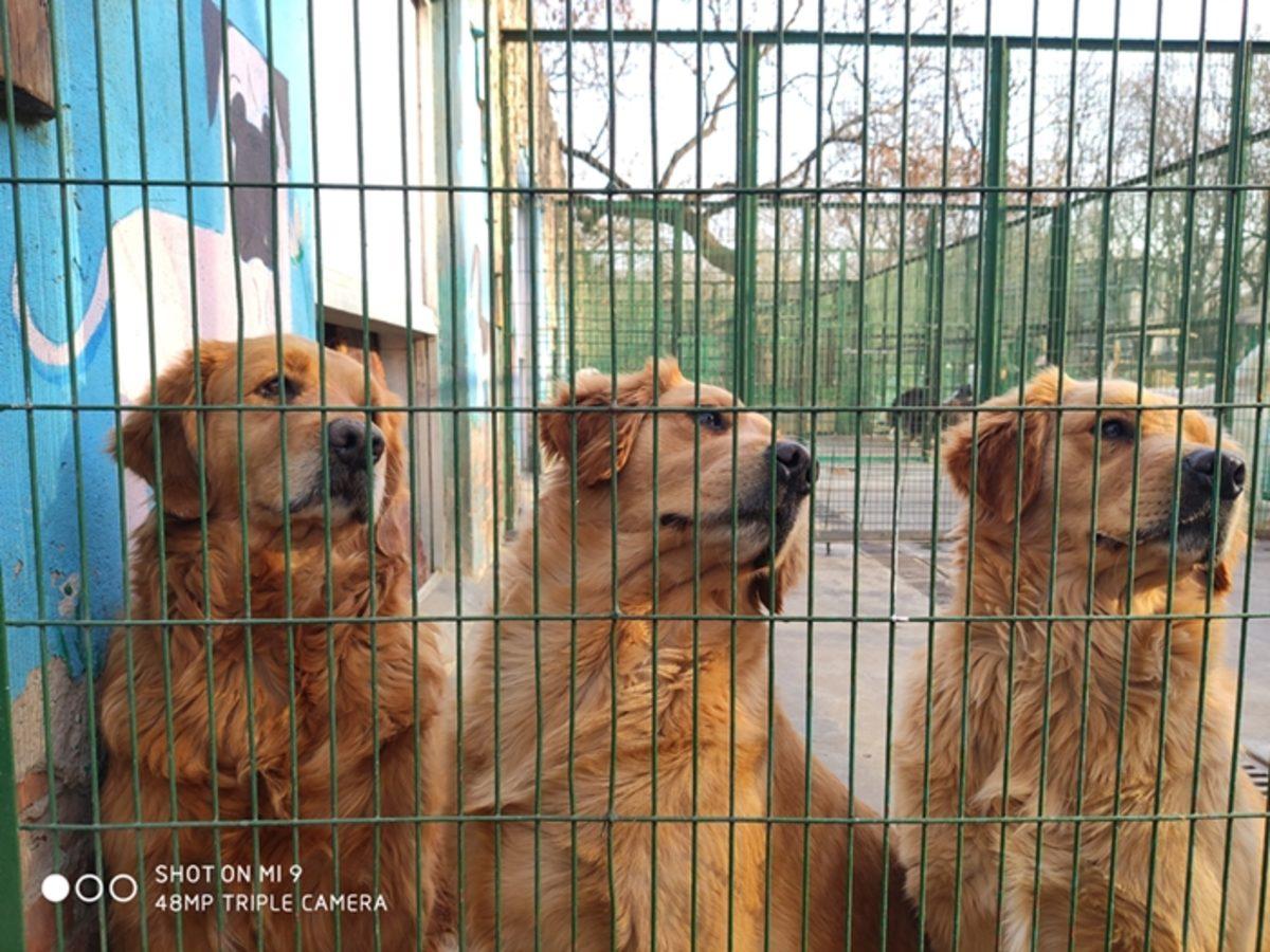 48 MP Kameralı Xiaomi Mi 9 ile Çekilen İlk Fotoğraflar Yayınlandı