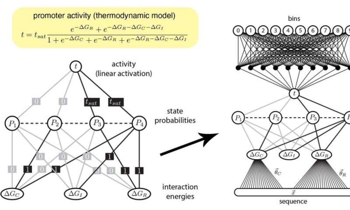 Makine Öğrenmesi Gen Düzenlemesi Yapmayı Başardı