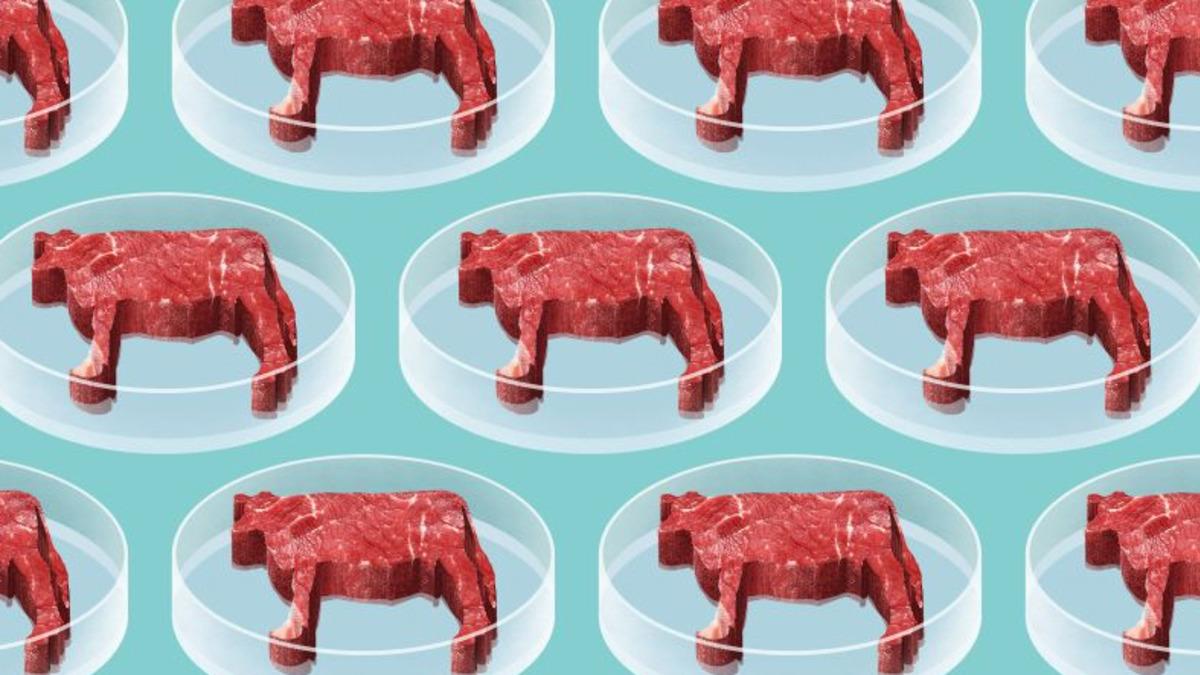 Sofranızdaki Doğal Etin Yerini Alacak ‘Laboratuvar Eti’ Hakkında 6 Gerçek