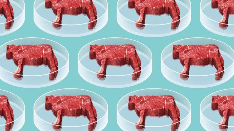 Sofranızdaki Doğal Etin Yerini Alacak ‘Laboratuvar Eti’ Hakkında 6 Gerçek