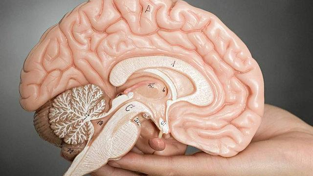 Depresyonun Beynin Daha Hızlı Yaşlanmasına Neden Olduğu Ortaya Çıktı