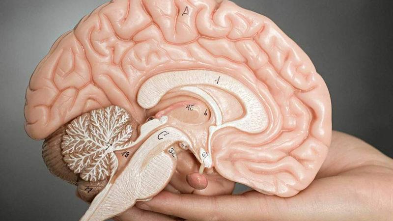 Depresyonun Beynin Daha Hızlı Yaşlanmasına Neden Olduğu Ortaya Çıktı