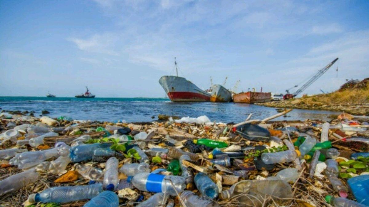 BP’den Çevrecileri Kızdıracak İddia: Plastik Yasağı İstenmeyen Sonuçlara Yol Açabilir