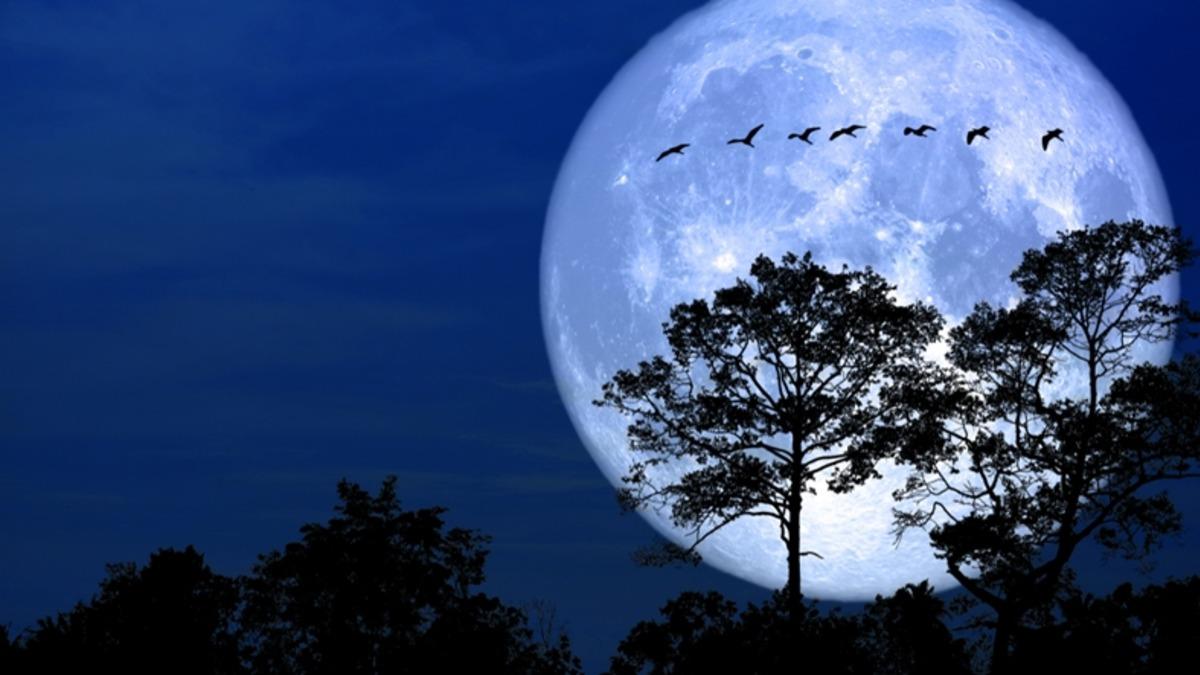 Ay’ın En Büyük ve En Parlak Hali "Süper Ay" Yarın Gözlemlenecek