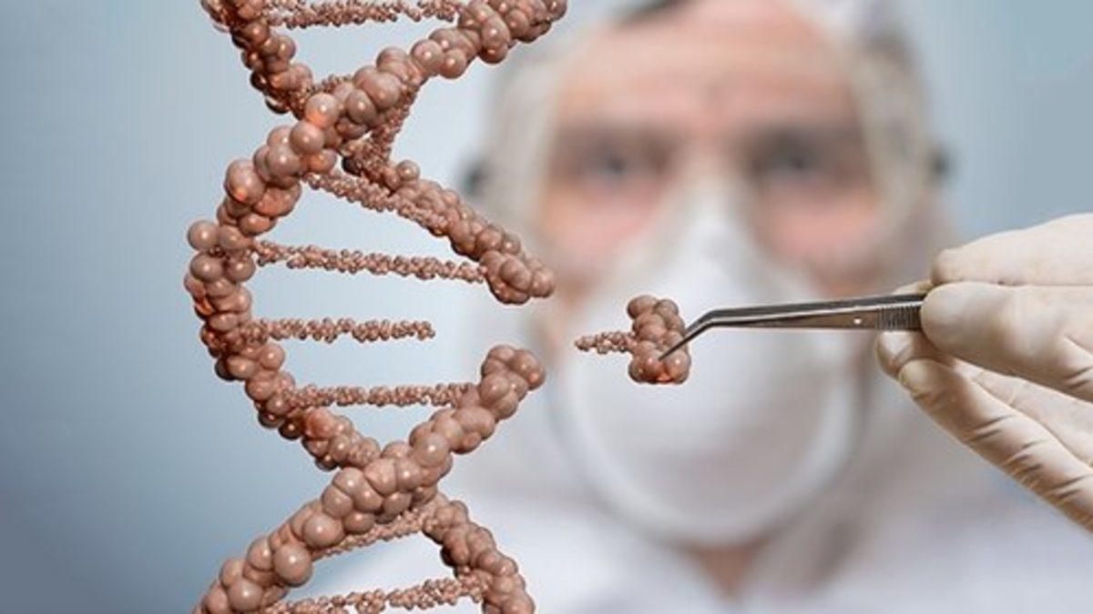 Bilim İnsanları, CRISPR Kullanarak Kök Hücreleri Görünmez Hale Getirdi