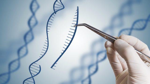 Bilim İnsanları, CRISPR Kullanarak Kök Hücreleri Görünmez Hale Getirdi