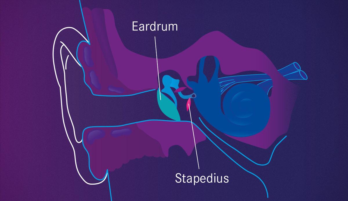 Kazalarda İşitme Kaybını Engelleyen Dahiyane Mercedes Sistemi: Pembe Gürültü
