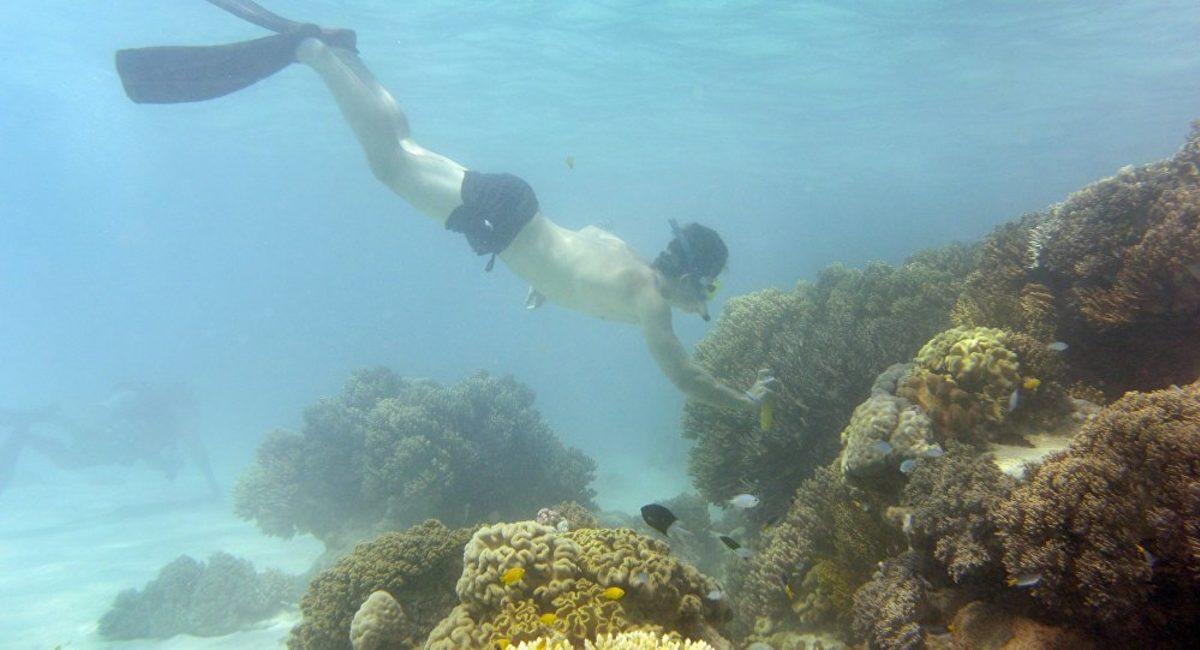 İklim Değişikliği Nedeniyle Dünyada İlk Kez Bir Memelinin Soyu Tükendi