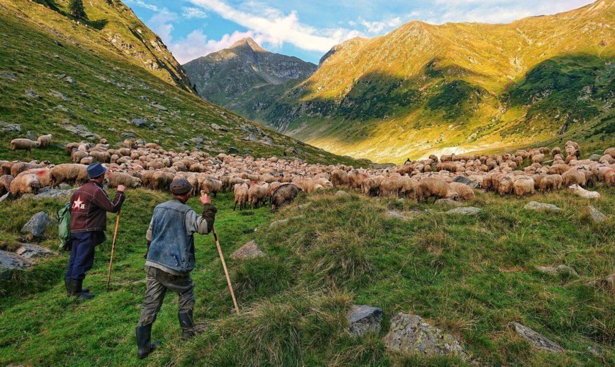 2018 Mobil Fotoğrafçılık Yarışmasının Galibi 10 Muhteşem Fotoğraf