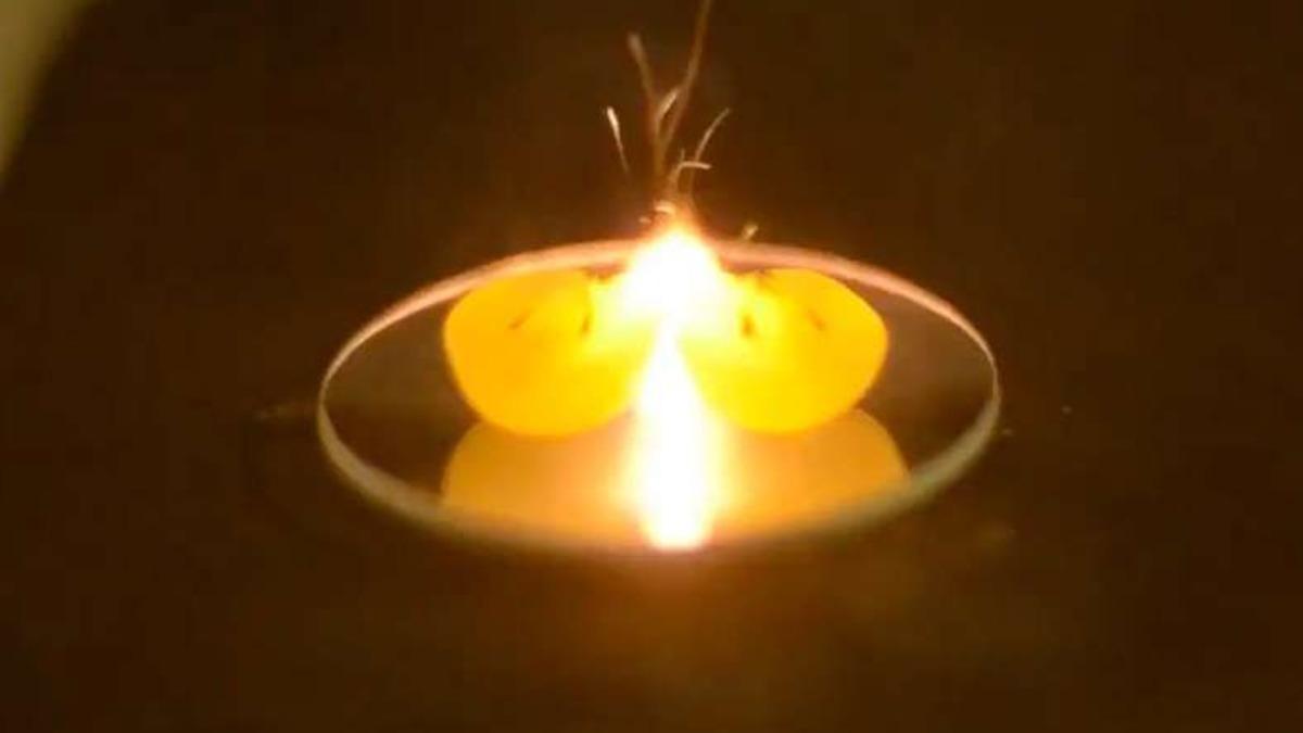 Bilim İnsanları, Üzümlerin Mikrodalga Fırına Atıldığında Neden Plazma Oluşturduklarını Buldular