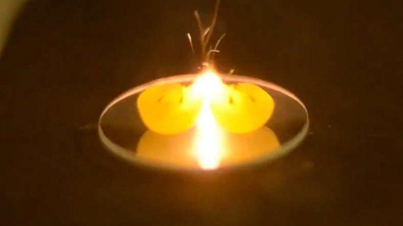 Bilim İnsanları, Üzümlerin Mikrodalga Fırına Atıldığında Neden Plazma Oluşturduklarını Buldular