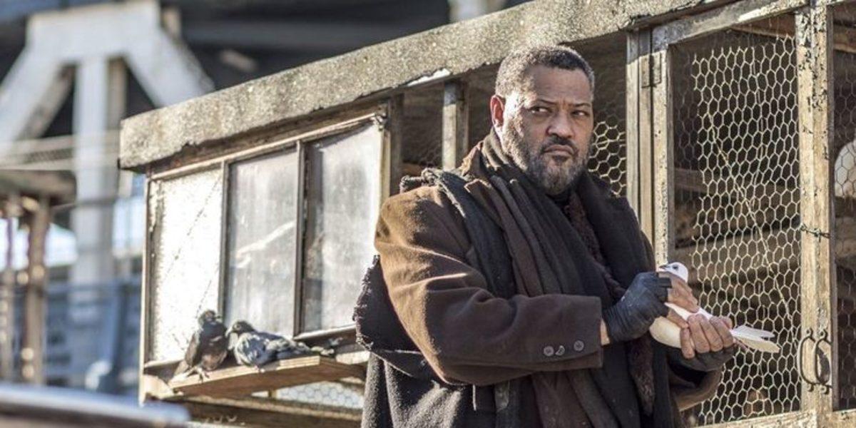 The Matrix Oyuncularının Filmden Günümüze Kariyerleri