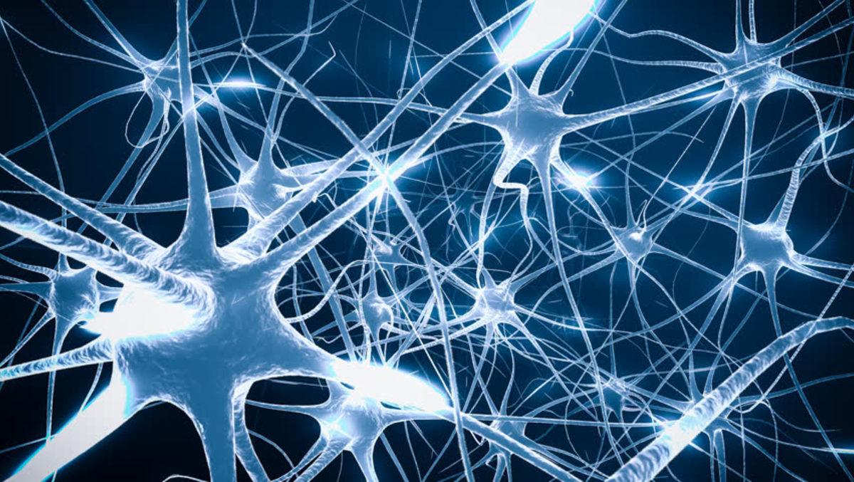 Bilim İnsanları, Beyinde Gizemli Bir İletişim Mekanizması Keşfetti