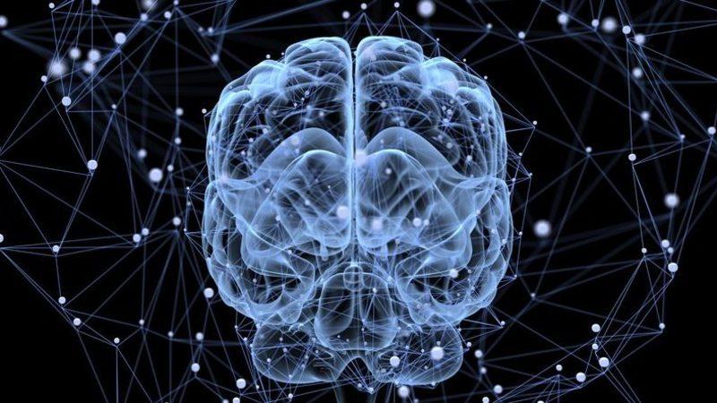Bilim İnsanları, Beyinde Gizemli Bir İletişim Mekanizması Keşfetti