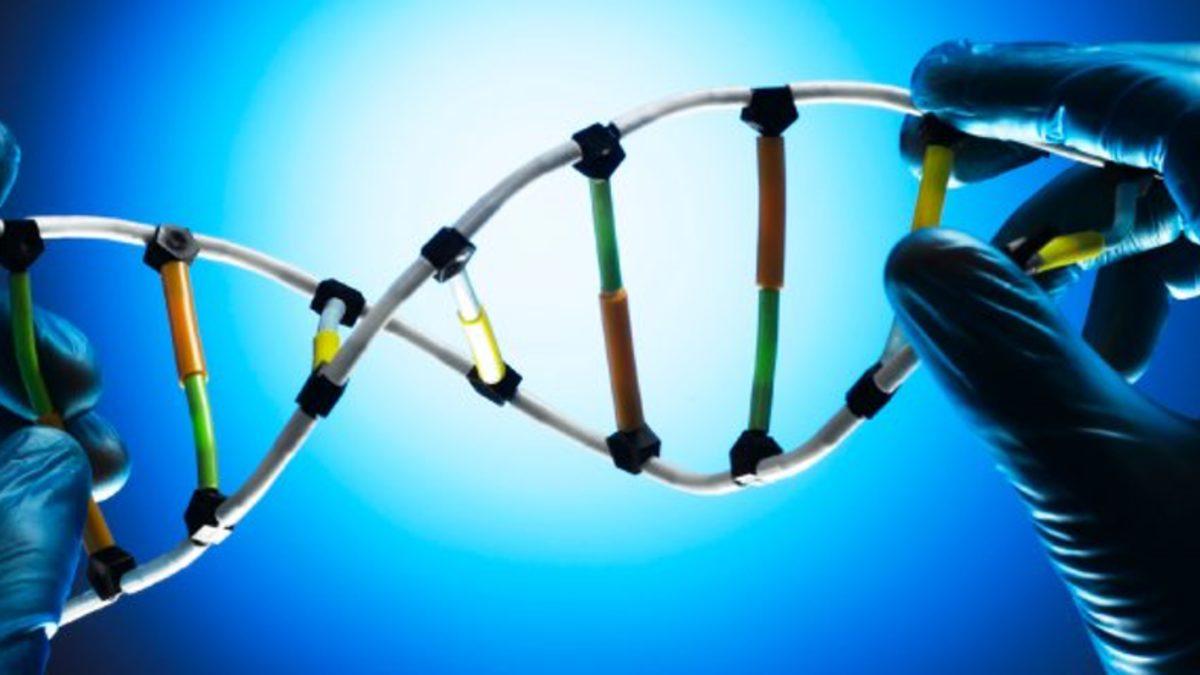 Asteroidden Parça Alan İnsanlık, Kendi Genlerinin Beşte Birini Hala Bilmiyor