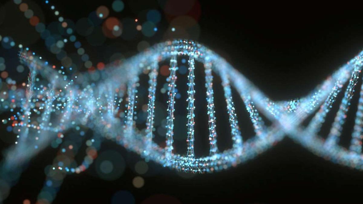 Asteroidden Parça Alan İnsanlık, Kendi Genlerinin Beşte Birini Hala Bilmiyor