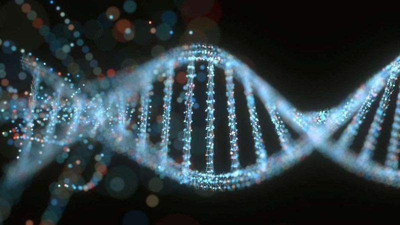 Asteroidden Parça Alan İnsanlık, Kendi Genlerinin Beşte Birini Hala Bilmiyor