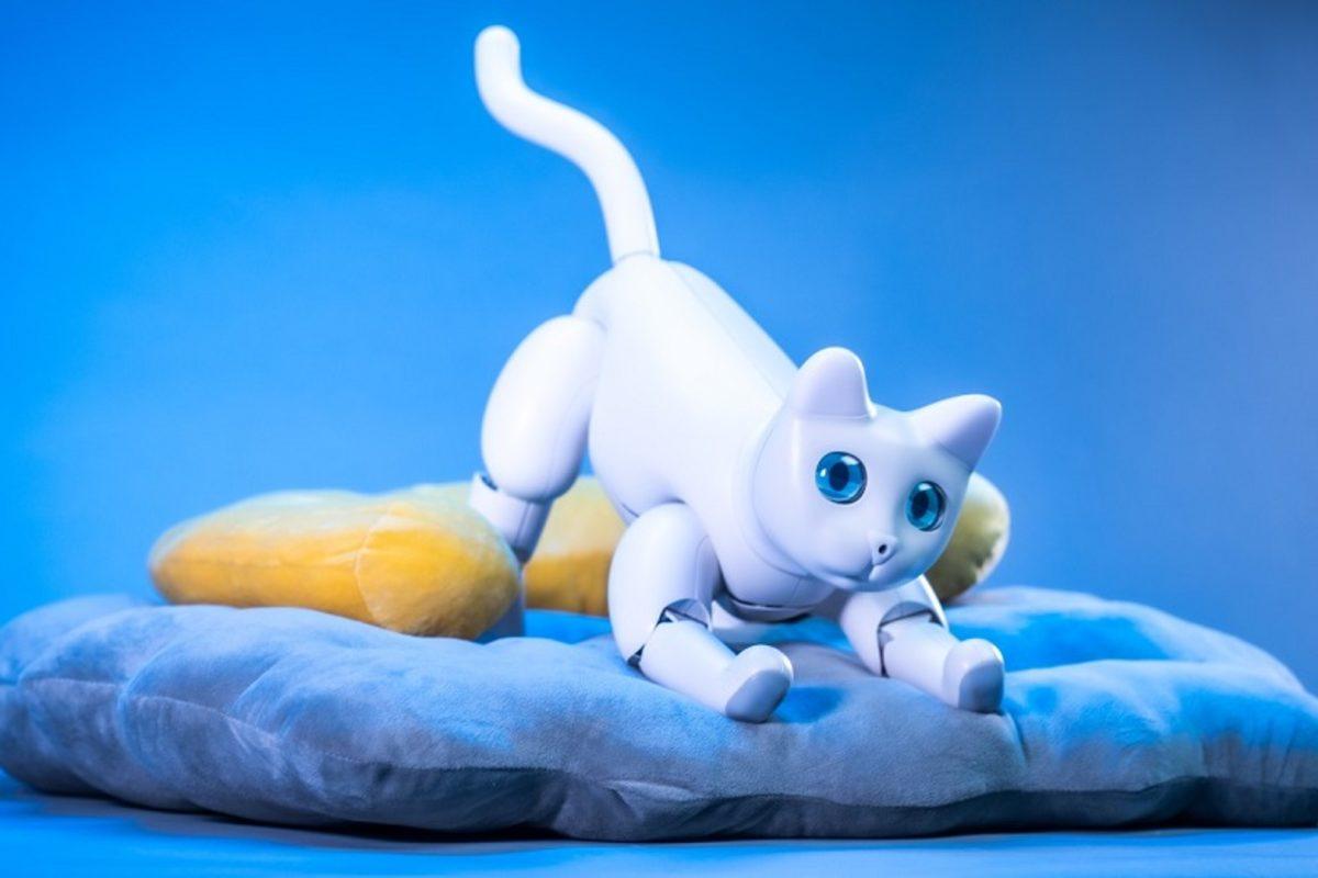 Robot Evcil Hayvan Olarak Tasarlanan, Dünyanın İlk Biyonik Kedisi: MarsCat