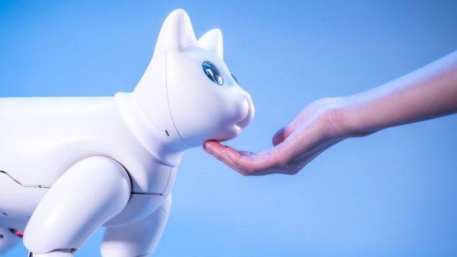 Robot Evcil Hayvan Olarak Tasarlanan, Dünyanın İlk Biyonik Kedisi: MarsCat