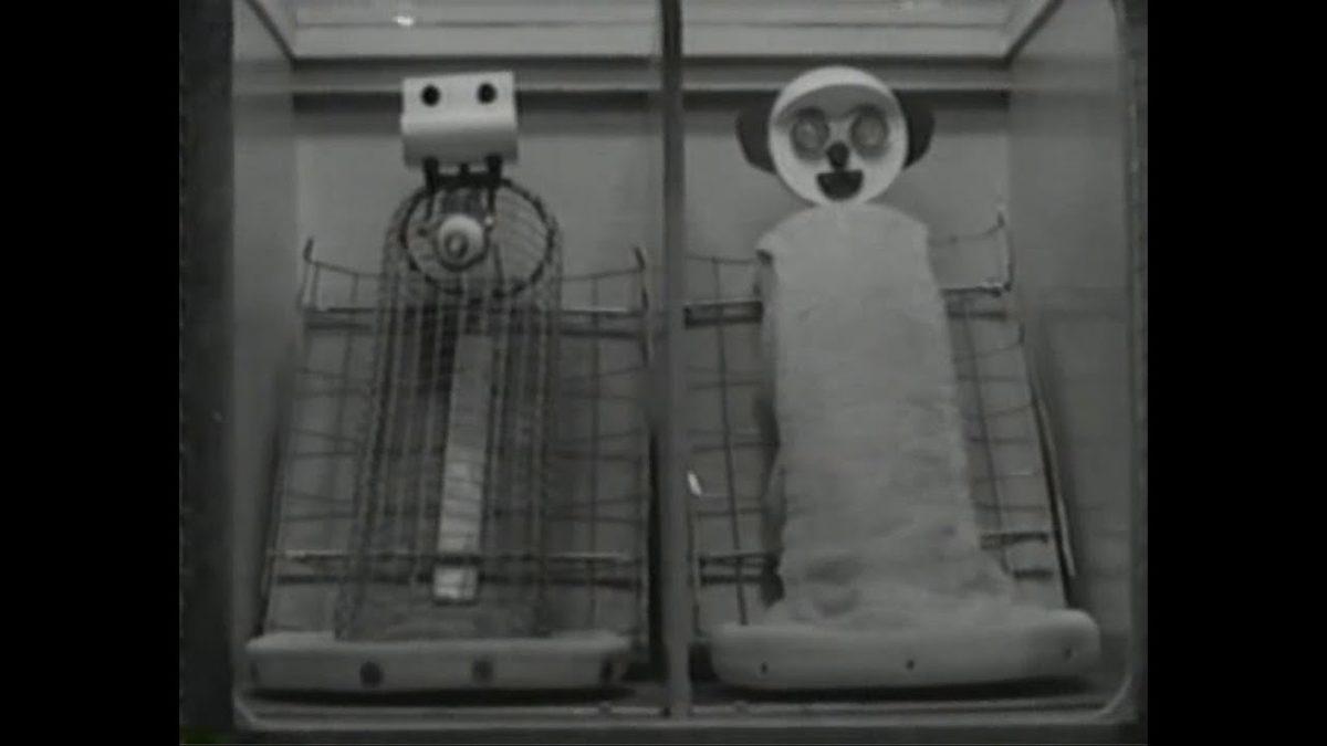 Sadece Zalim Birinin Yapabileceği, İnsanlık Dışı ’Şefkat’ Deneyi (18+)