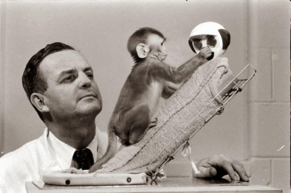 Sadece Zalim Birinin Yapabileceği, İnsanlık Dışı ’Şefkat’ Deneyi (18+)