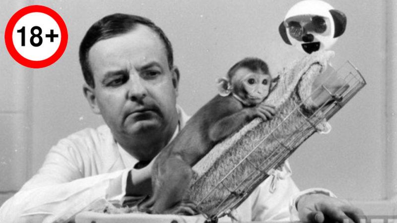 Sadece Zalim Birinin Yapabileceği, İnsanlık Dışı ’Şefkat’ Deneyi (18+)