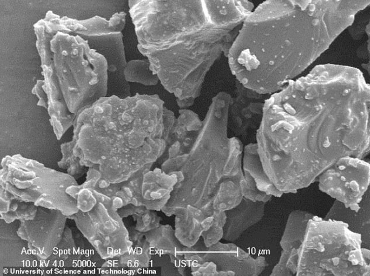 Bitki Atıklarından Üretilen Kömür, İklim Sorunlarına Çözüm Olabilir