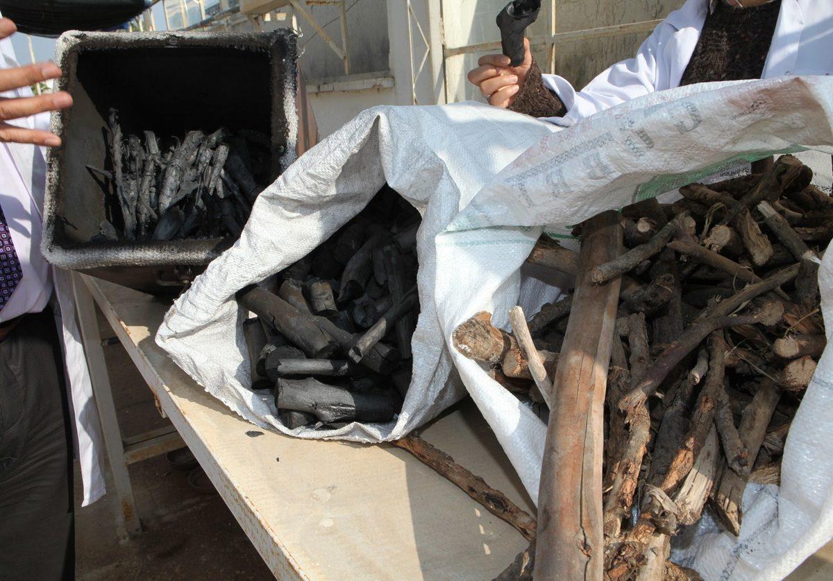 Bitki Atıklarından Üretilen Kömür, İklim Sorunlarına Çözüm Olabilir