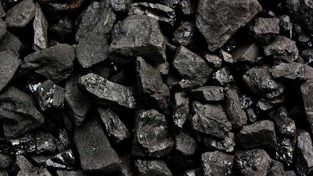 Bitki Atıklarından Üretilen Kömür, İklim Sorunlarına Çözüm Olabilir