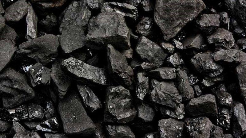 Bitki Atıklarından Üretilen Kömür, İklim Sorunlarına Çözüm Olabilir