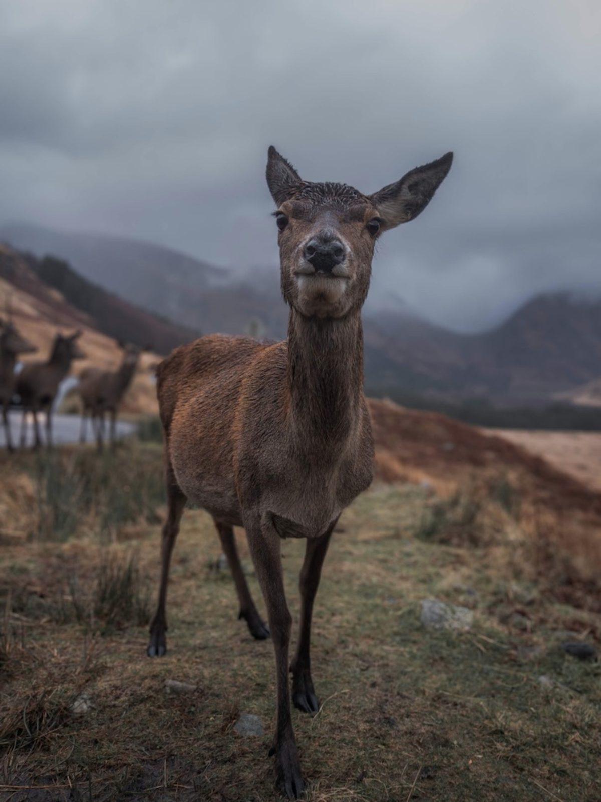 Nokia 9 PureView’ın Gözlerinize Bayram Ettirecek Fotoğraf Örnekleri Yayınlandı