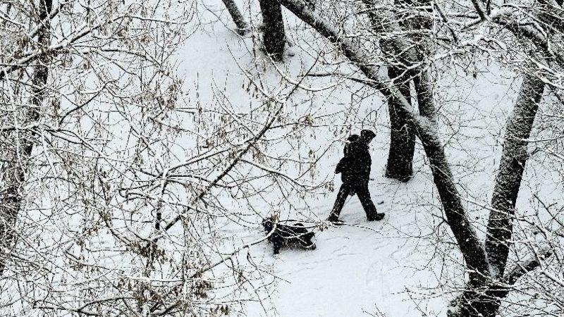Rusya İklim Değişikliğine Uyum Planını Açıkladı