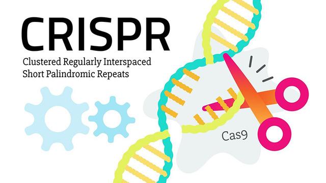DNA’yı Yeniden Düzenleme Olanağı Sunan Crispr Teknolojisiyle İlk Hastalık Tedavisi Gerçekleştirildi