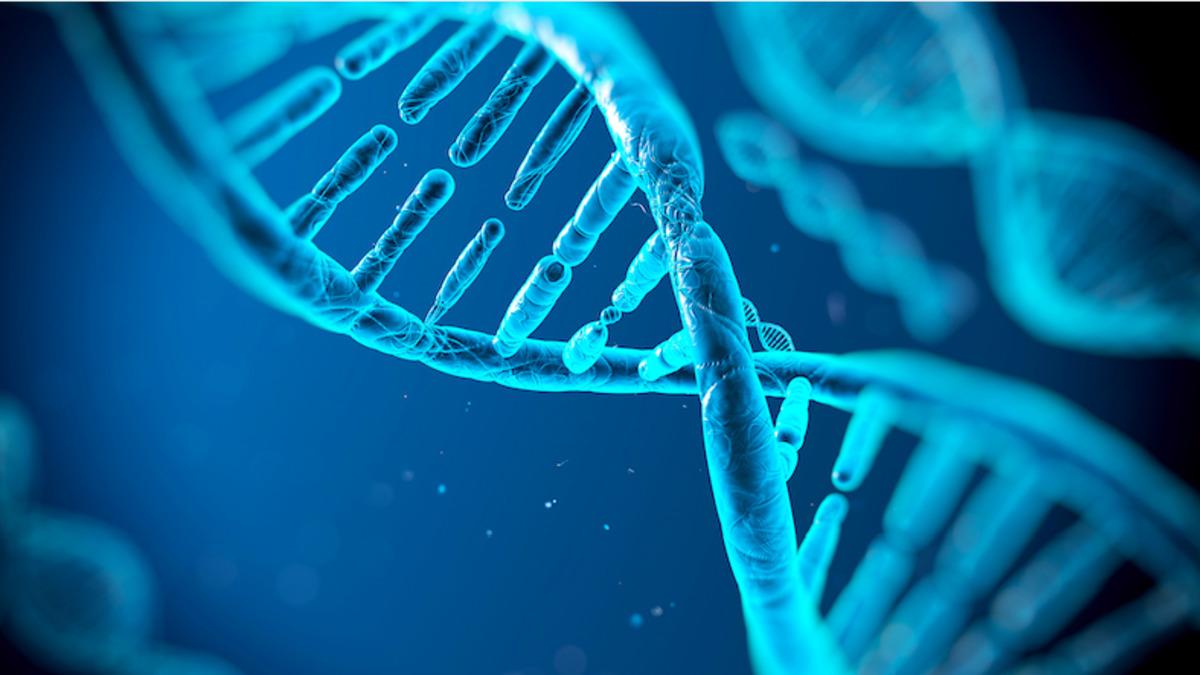 Bilim İnsanları, Cansız Kimyasal Sistemlere Hesap Yaptırmayı Başardı