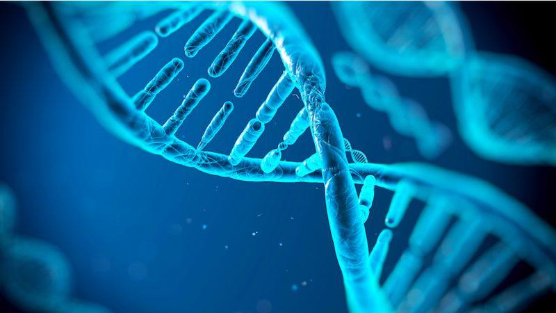 Bilim İnsanları, Cansız Kimyasal Sistemlere Hesap Yaptırmayı Başardı