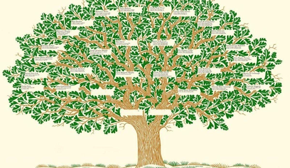 E-Devlet’in Soyağacı Uygulamasından Kaç Kişinin Faydalandığı Açıklandı