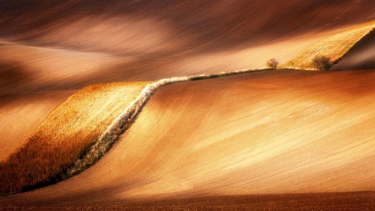 2019 Sony Dünya Fotoğraf Ödülleri’nden 14 Şaheser Fotoğraf