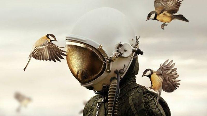 2019 Sony Dünya Fotoğraf Ödülleri’nden 14 Şaheser Fotoğraf