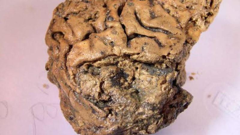 2600 Yıl Önce Gömülen İnsan Beyni Sapasağlam Halde Bulundu
