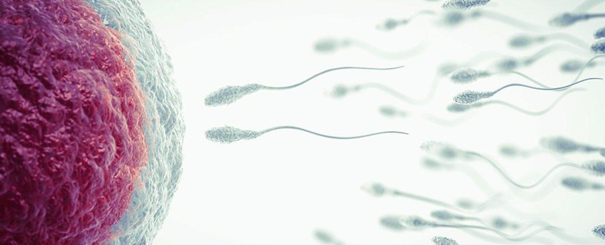 Tarihte Sadece İkinci Kez Yaşandı: Avustralya’da Yarı-Tek Yumurta İkizleri Doğdu