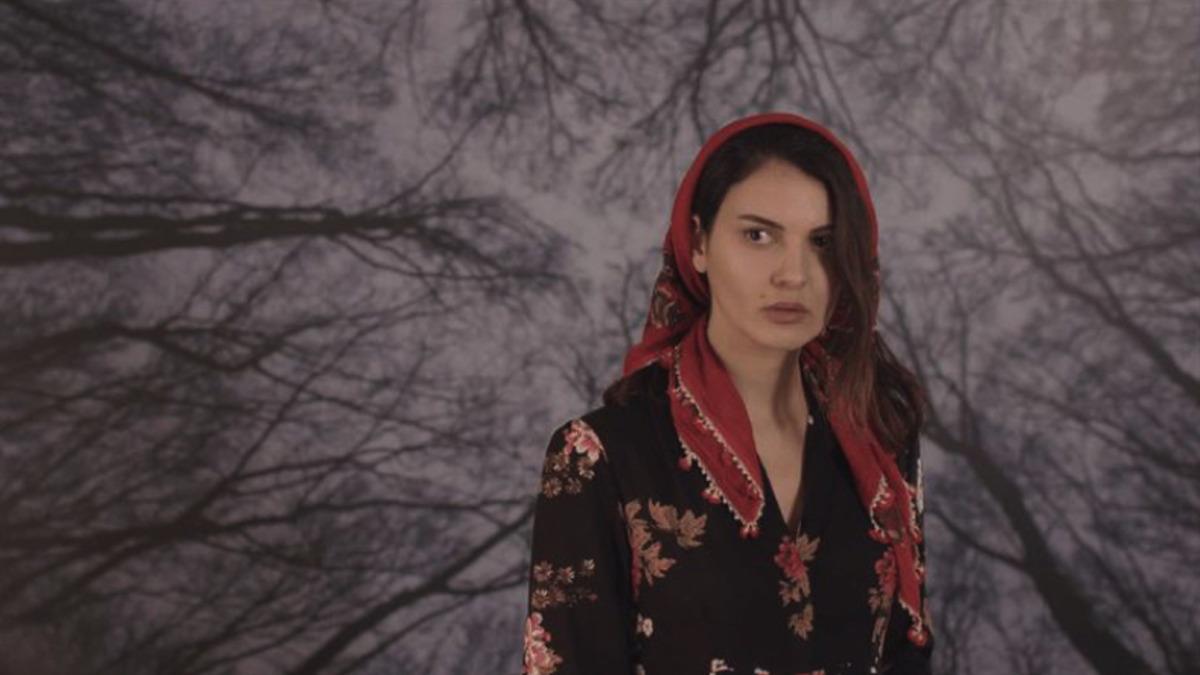 Sinan Çetin’in Oğlunun Filmi New York in New York’u Yalnızca 665 Kişi İzledi