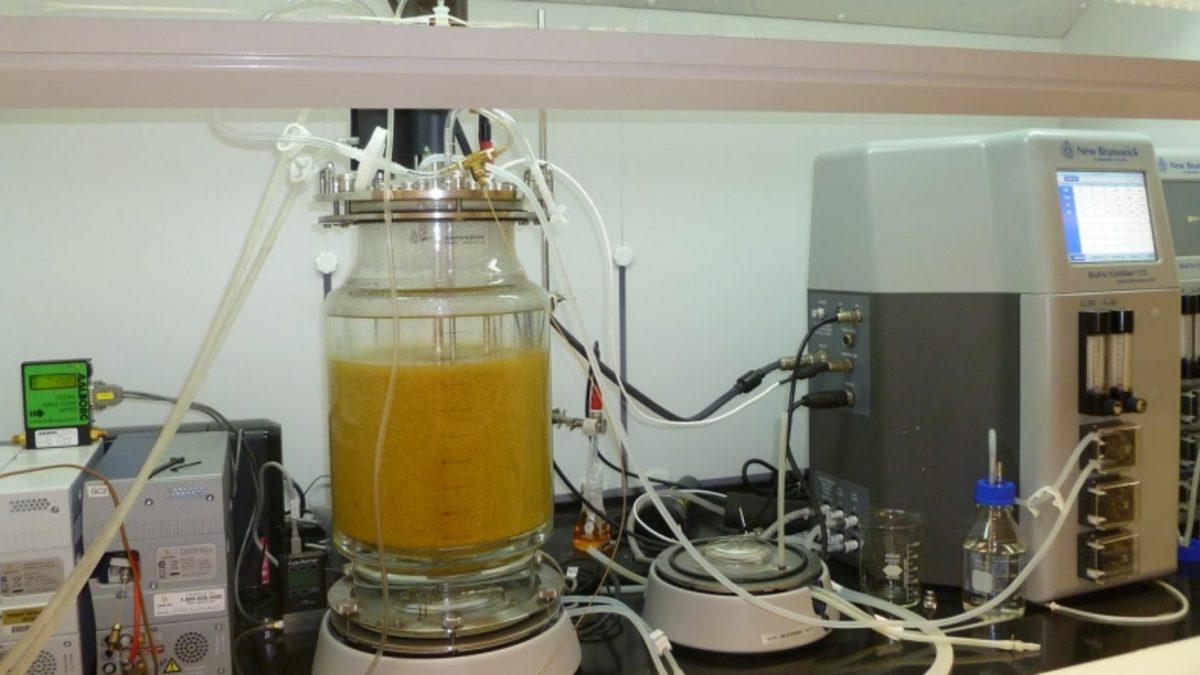 Bilim İnsanları, Gıda Atıklarını Hidrojene Çeviren Yeni Bir Yöntem Keşfetti