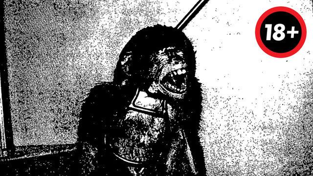 Uyuşturucunun Nasıl Bir İllet Olduğunu Gösteren İlk Deney (18+)