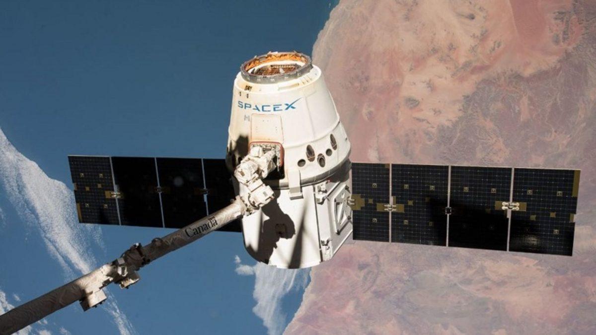 NASA’nın Süper Fareleri, Uzay İstasyonundan Dünya’ya Dönmeyi Başardı