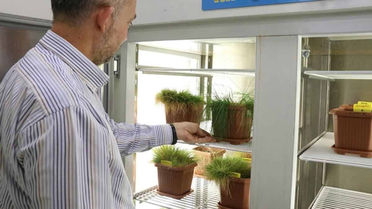 3. Ulusal Antarktika Bilim Seferi Kapsamında Örneklenen İki Bitki Türünün DNA’sı İnceleniyor