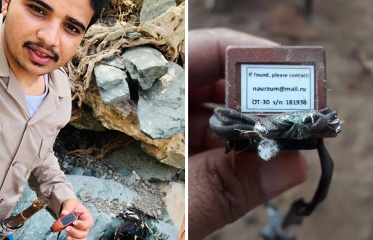 GPS ile Takip Edilen Bir Kartalın 20 Yıllık Yolculuğunun Haritası Çıkarıldı